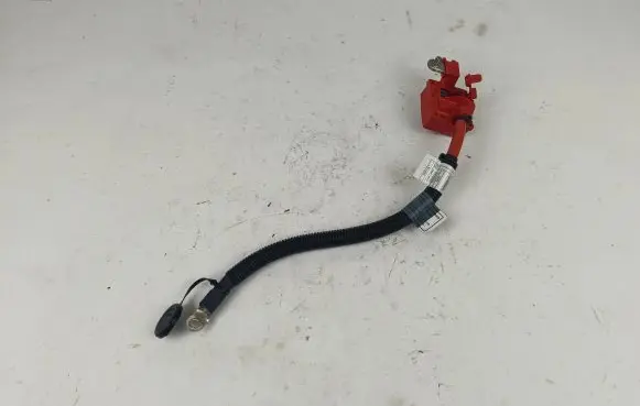 BMW X5 E70 Positive wiring loom 9217004 EEG63Y