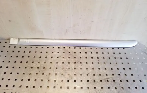 Rear door trim (molding)
