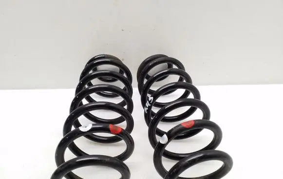 Nissan Qashqai Rear coil spring