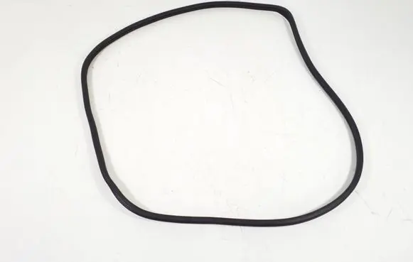 Mercedes-Benz R W251 Front door rubber seal A2516900076