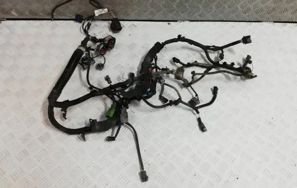 Citroen C5 Engine installation wiring loom 9685581780