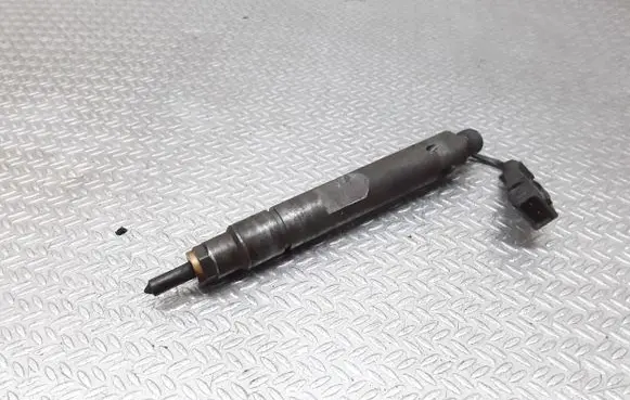Renault Scenic I Fuel injector 0432193754