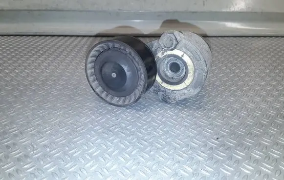 Renault Clio III Generator/alternator belt tensioner 8200608550