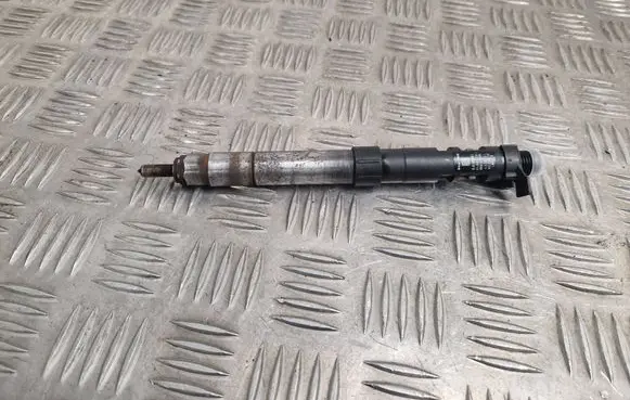 Citroen DS5 Fuel injector 9686191080
