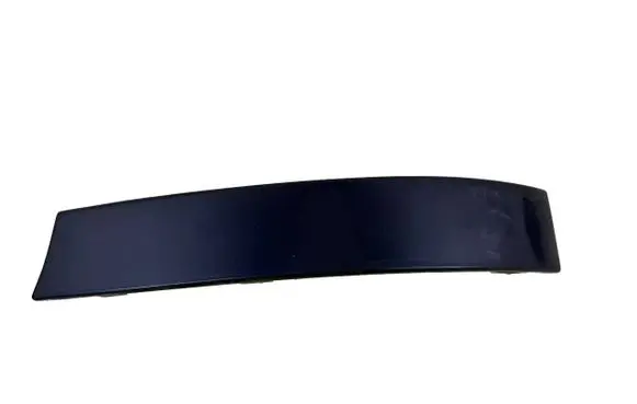 Rear/tail light trim molding