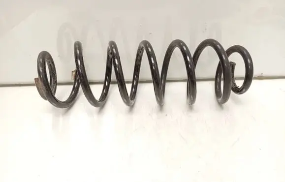 Rear coil spring
