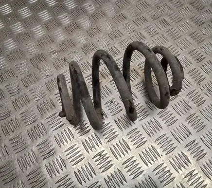 Rear coil spring