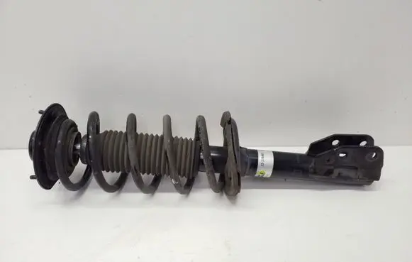 Chevrolet Captiva Front shock absorber with coil spring 22238863 95166266