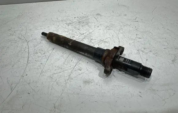 Citroen C5 Fuel injector 9688438580
