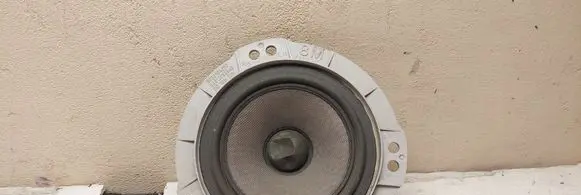 Rear door speaker