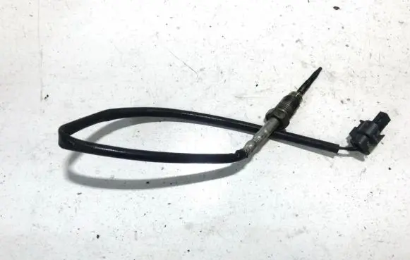 Exhaust gas temperature sensor
