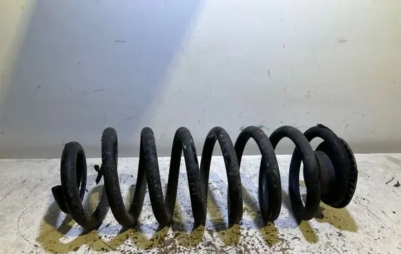 Rear coil spring