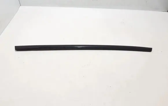 Tesla Model S Rear door trim (molding) 1038396