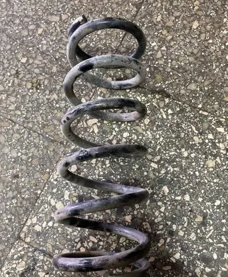 Nissan Pathfinder R51 Rear coil spring