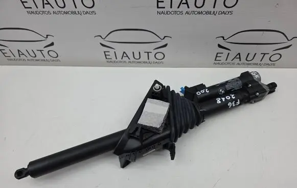 Tailgate/trunk strut/damper