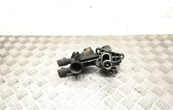 Thermostat/thermostat housing