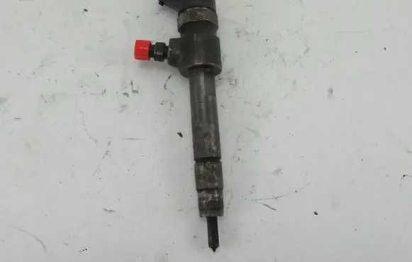 Fiat Punto (199) Fuel injector 0445110276