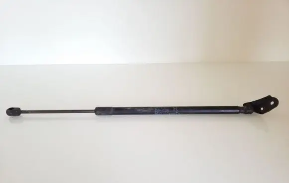 Toyota Corolla Verso E121 Tailgate/trunk strut/damper 689500F012