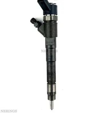 Citroen Jumper Fuel injector 0445110248