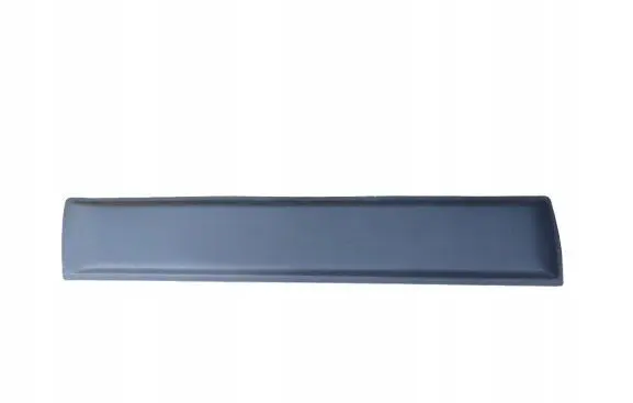 Dacia Duster II Rear door trim (molding) 808725725R