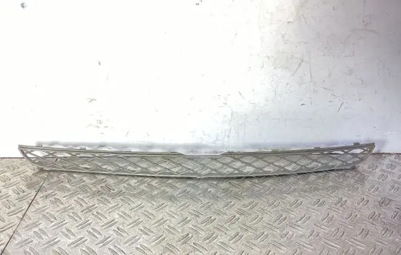 BMW X6 E71 Front bumper lower grill 51117159597