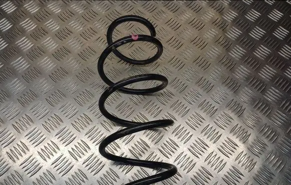 Front coil spring