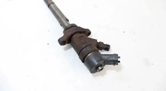 Ford C-MAX I Fuel injector 0445110239