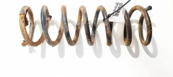 Ford Focus C-MAX Rear coil spring