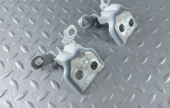 Dacia Sandero III Rear door hinge set 804209726R 804207876R