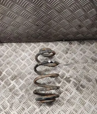 Rear coil spring