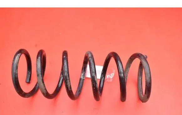 Rear coil spring
