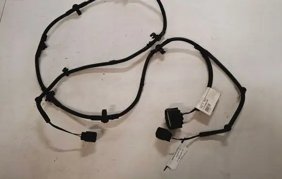 Other wiring loom