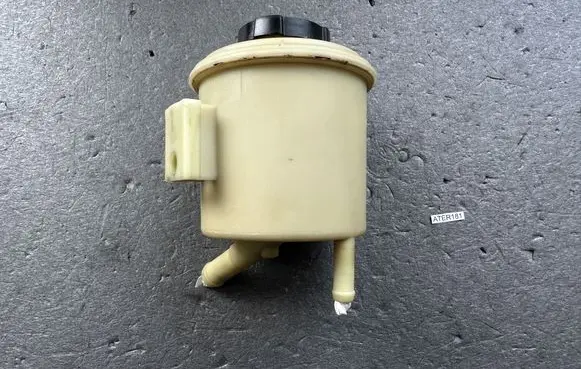 Nissan Terrano Power steering fluid tank/reservoir 491809F900
