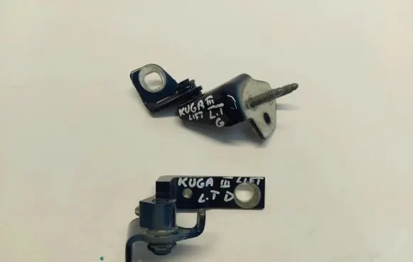Ford Kuga III Rear door hinge set 