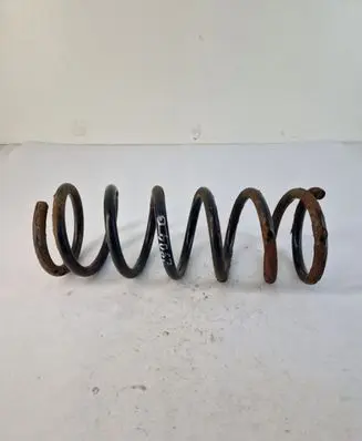 Nissan Pathfinder R51 Rear coil spring 