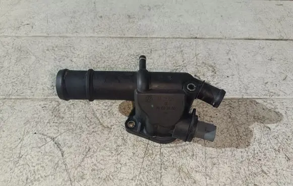 Thermostat/thermostat housing