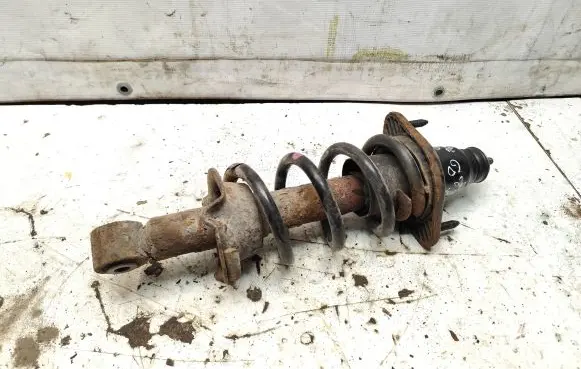 Ford Taurus Rear shock absorber with coil spring 