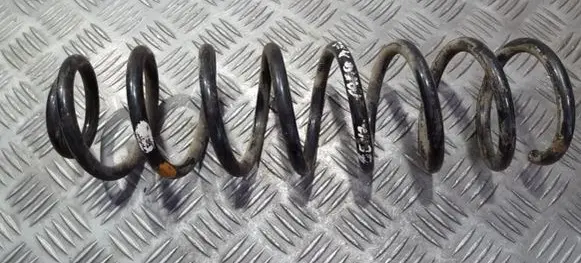Rear coil spring