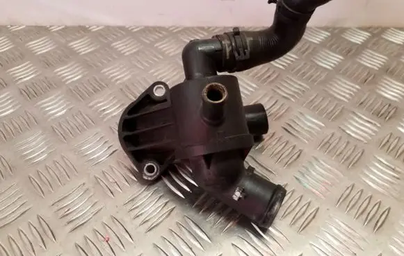 Thermostat/thermostat housing