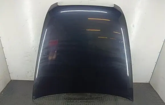 Audi A6 S6 C6 4F Engine bonnet/hood LZ9W
