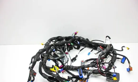 Other wiring loom