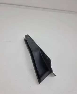 Rear/tail light trim molding