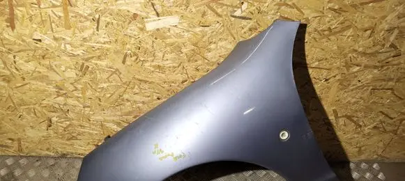 Ford Puma Fender