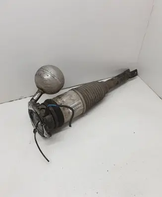 Volkswagen Phaeton Air suspension rear shock absorber 3D0616002K