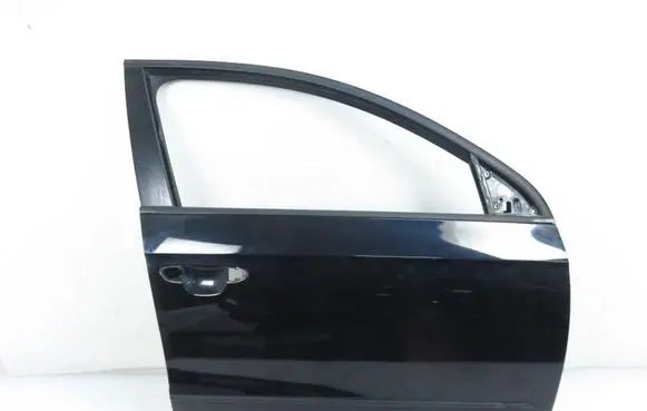 Volkswagen PASSAT B6 Front door