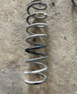 Rear coil spring