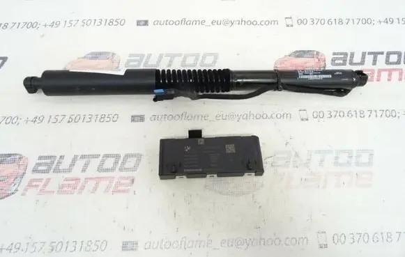 Tailgate/trunk control unit/module