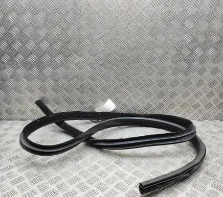 Jaguar XE Rubber seal front coupe door T4N3110