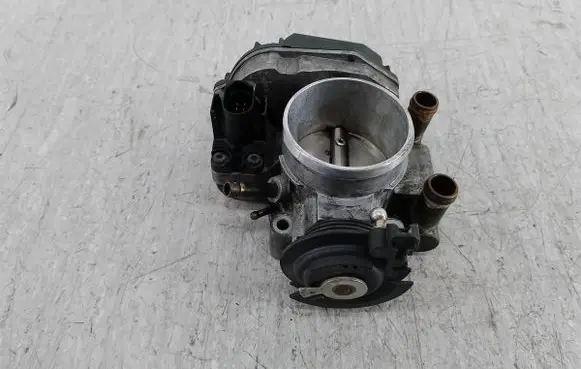 Throttle body valve