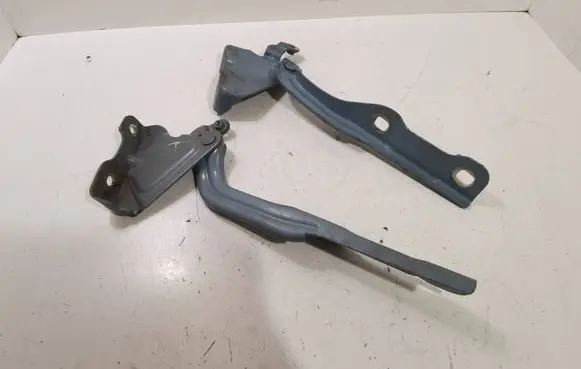 Engine bonnet/hood hinges